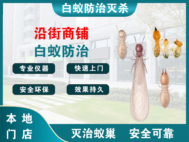 温岭沿街商铺白蚁防治