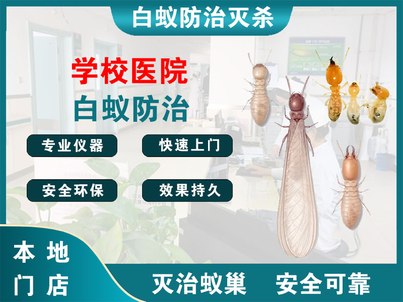 温岭学校医院白蚁防治