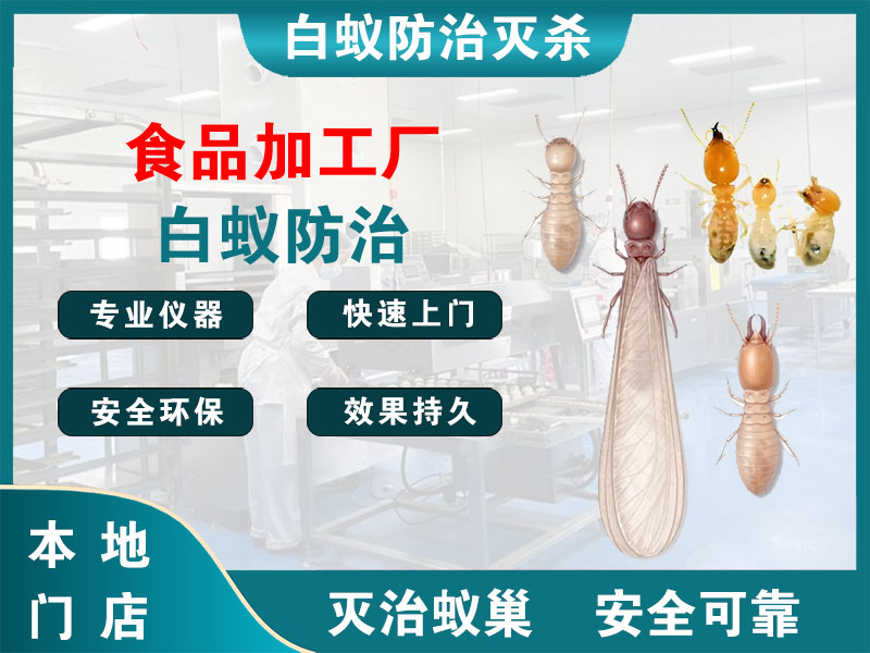 温岭食品加工厂白蚁防治