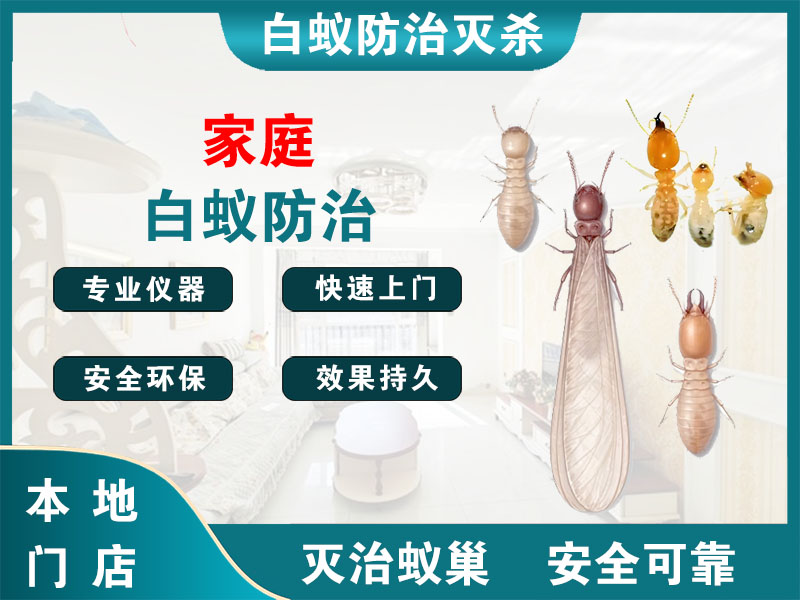 温岭家庭白蚁防治