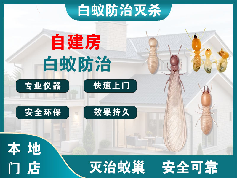 温岭自建房白蚁防治