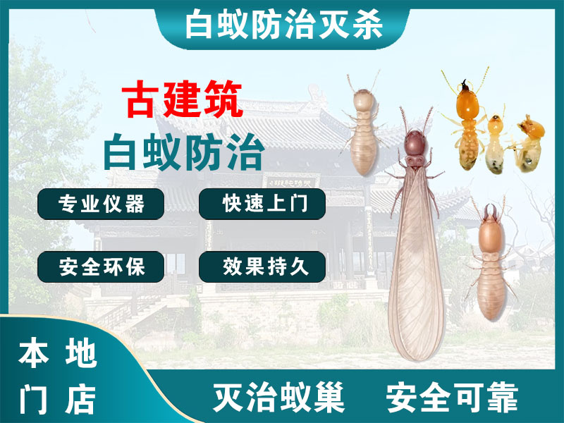 温岭古建筑白蚁防治