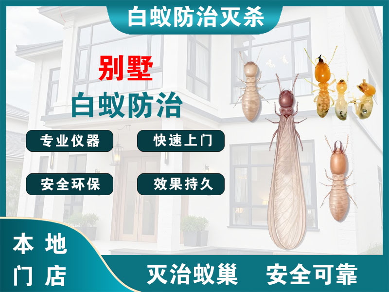 温岭别墅白蚁防治