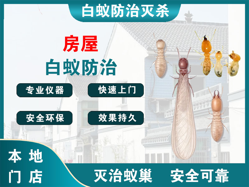 温岭房屋白蚁防治